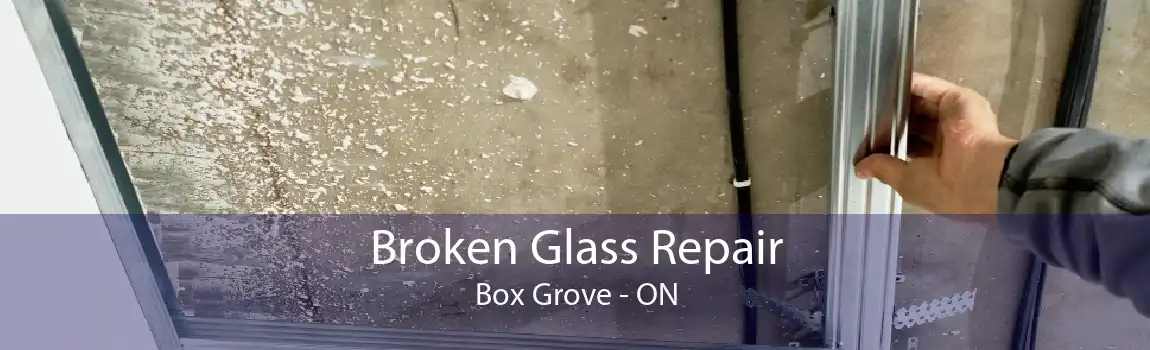 Broken Glass Repair Box Grove - ON