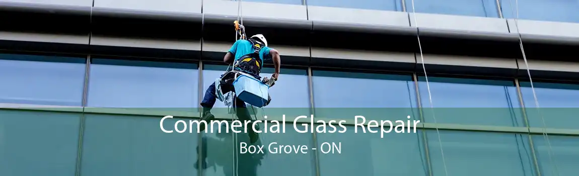 Commercial Glass Repair Box Grove - ON