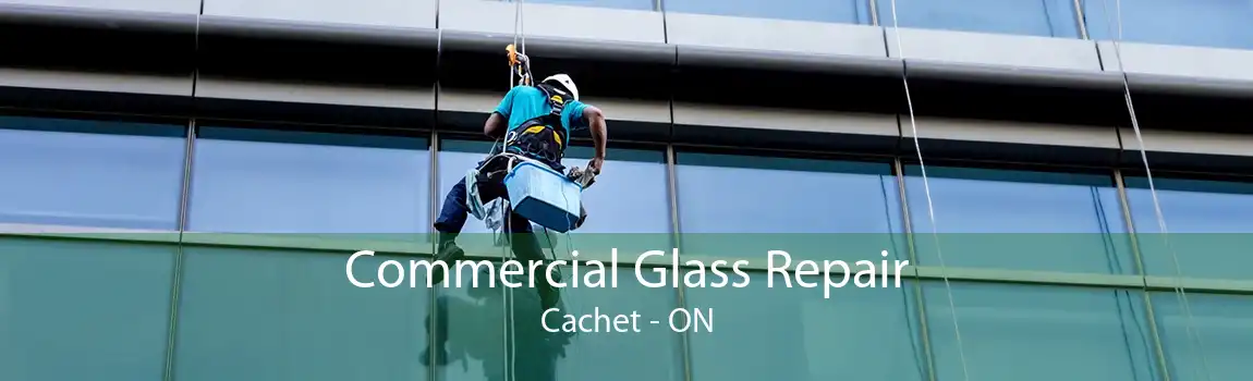 Commercial Glass Repair Cachet - ON