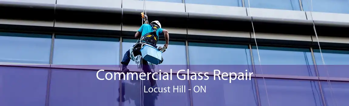 Commercial Glass Repair Locust Hill - ON