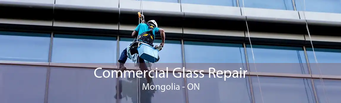 Commercial Glass Repair Mongolia - ON