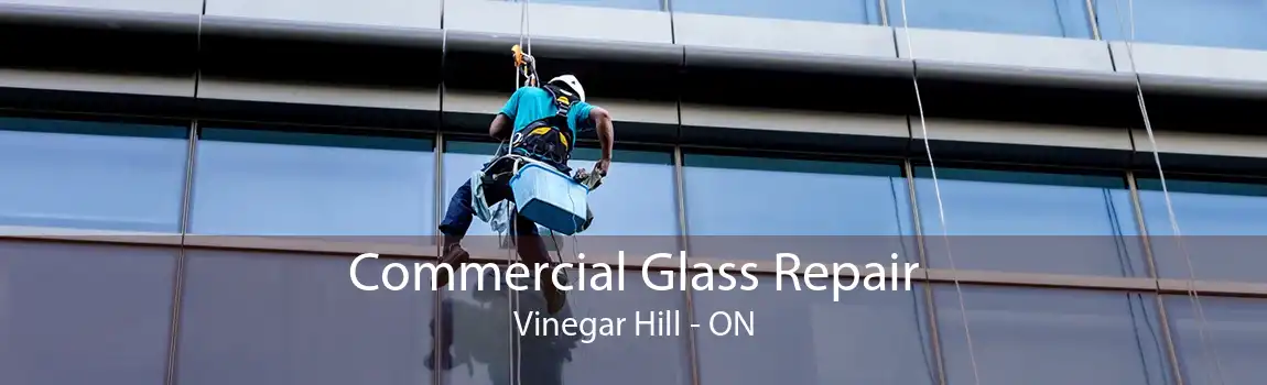 Commercial Glass Repair Vinegar Hill - ON