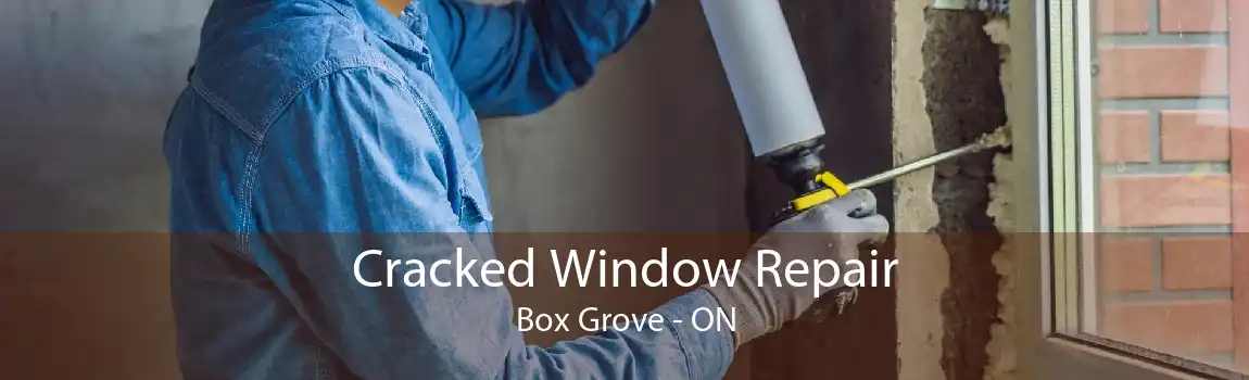 Cracked Window Repair Box Grove - ON
