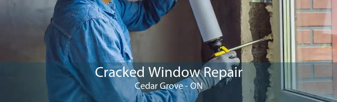 Cracked Window Repair Cedar Grove - ON