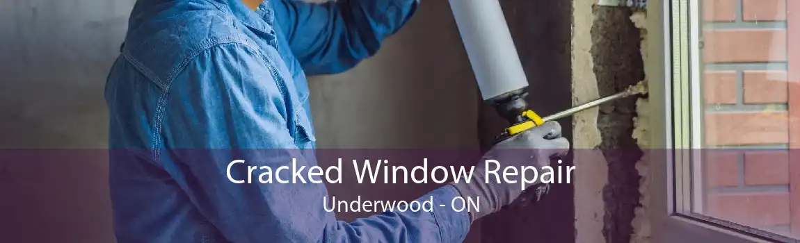 Cracked Window Repair Underwood - ON