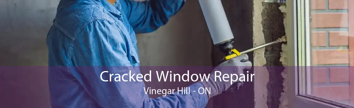 Cracked Window Repair Vinegar Hill - ON