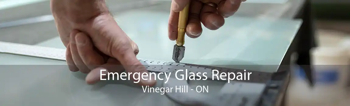 Emergency Glass Repair Vinegar Hill - ON