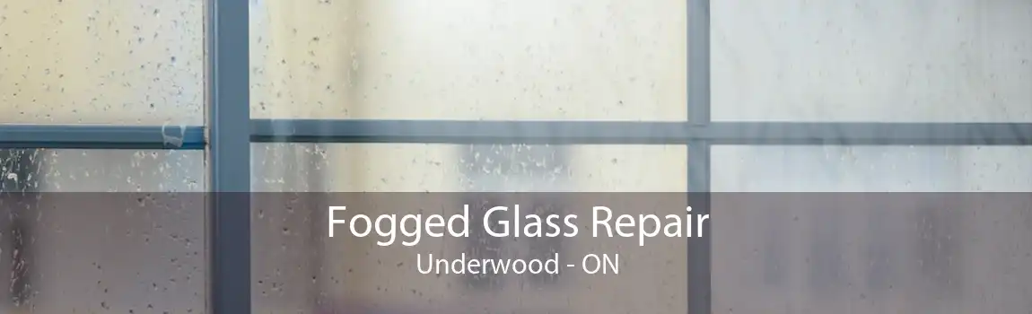 Fogged Glass Repair Underwood - ON