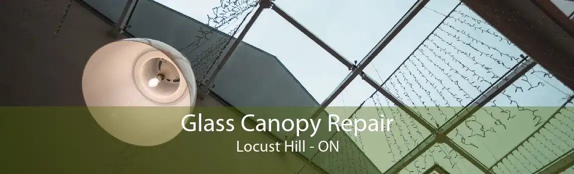 Glass Canopy Repair Locust Hill - ON