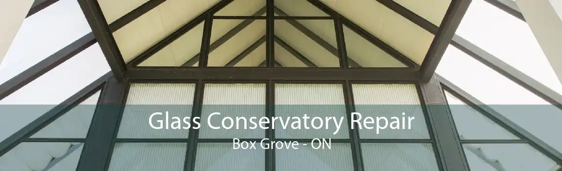Glass Conservatory Repair Box Grove - ON