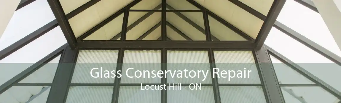 Glass Conservatory Repair Locust Hill - ON