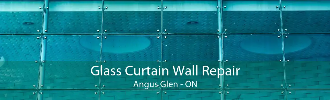 Glass Curtain Wall Repair Angus Glen - ON