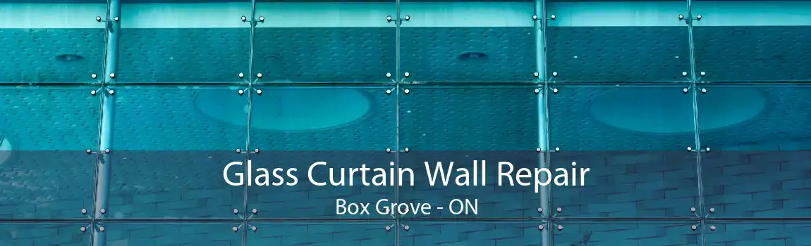 Glass Curtain Wall Repair Box Grove - ON