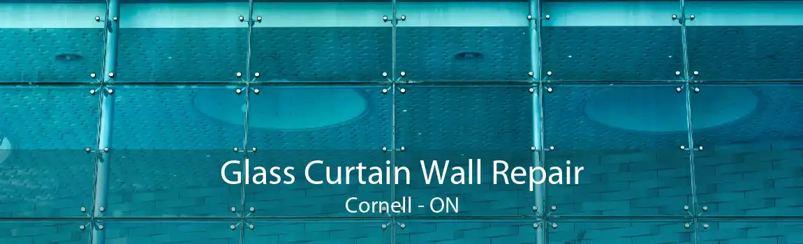 Glass Curtain Wall Repair Cornell - ON