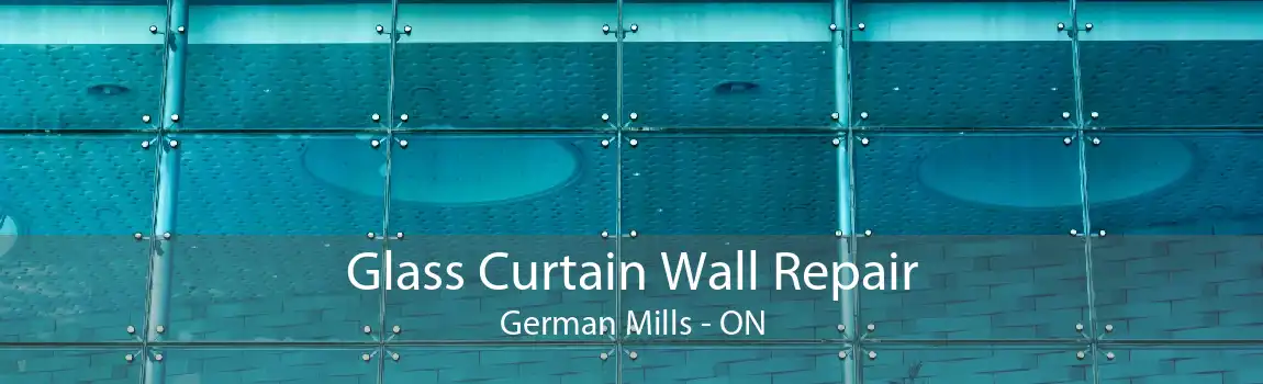 Glass Curtain Wall Repair German Mills - ON