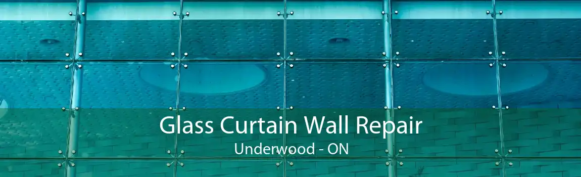 Glass Curtain Wall Repair Underwood - ON