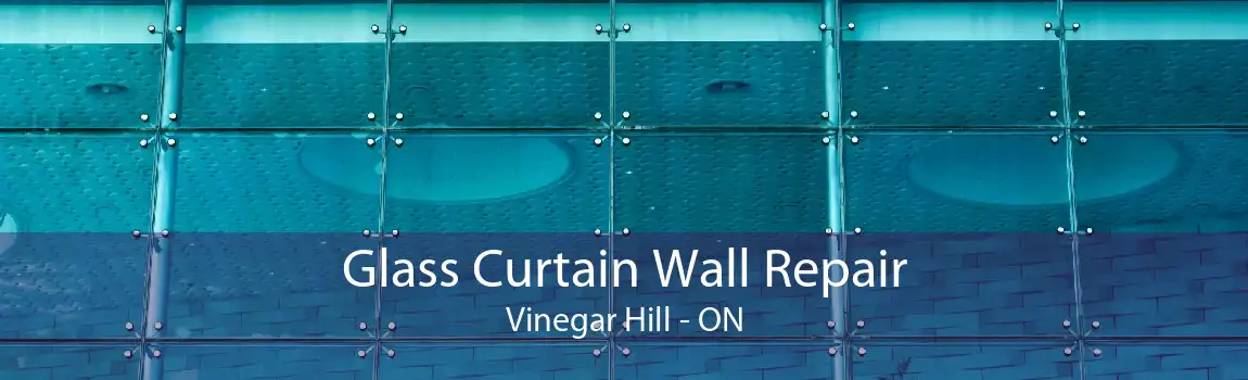 Glass Curtain Wall Repair Vinegar Hill - ON