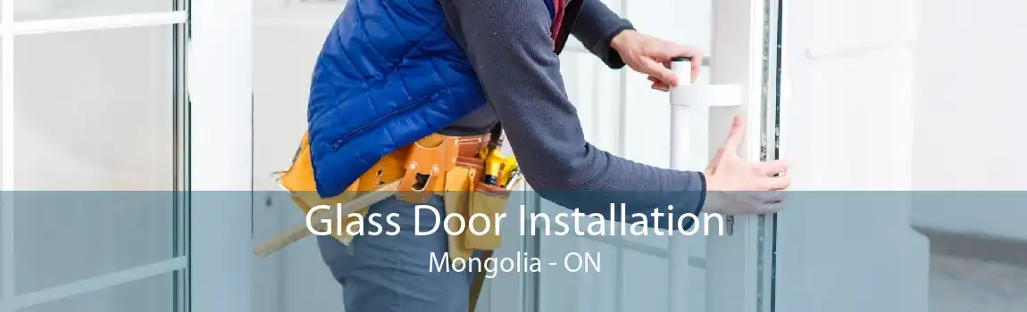 Glass Door Installation Mongolia - ON