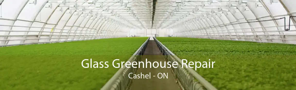 Glass Greenhouse Repair Cashel - ON