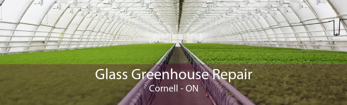 Glass Greenhouse Repair Cornell - ON