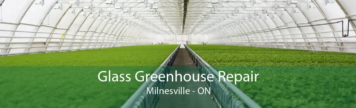 Glass Greenhouse Repair Milnesville - ON