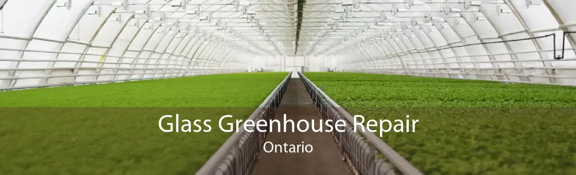 Glass Greenhouse Repair Ontario