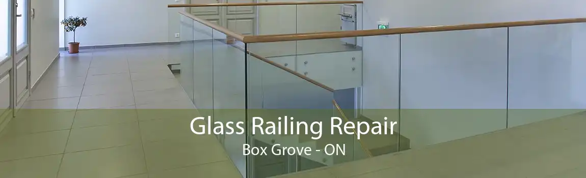 Glass Railing Repair Box Grove - ON