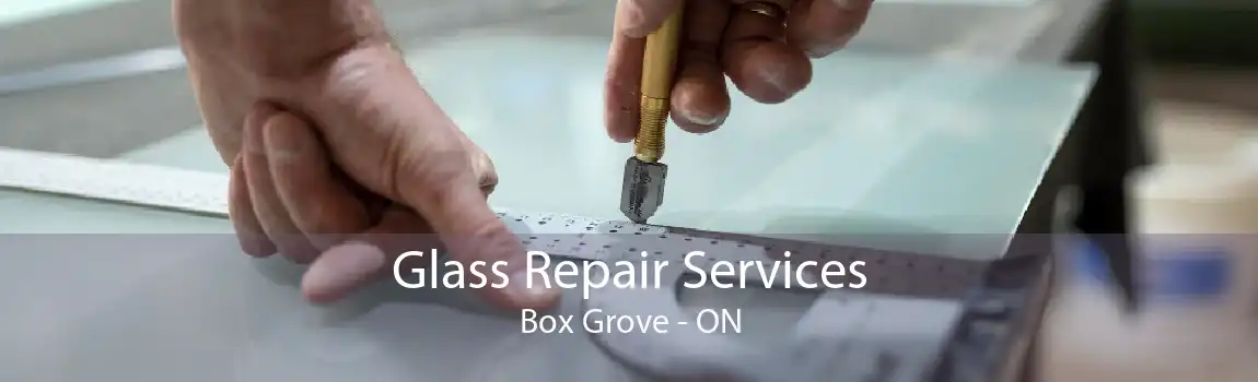 Glass Repair Services Box Grove - ON