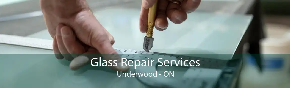 Glass Repair Services Underwood - ON