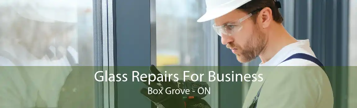 Glass Repairs For Business Box Grove - ON