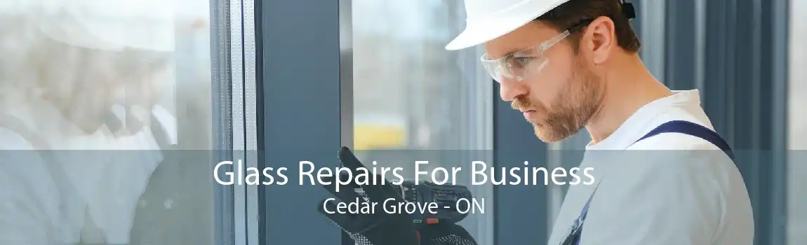 Glass Repairs For Business Cedar Grove - ON