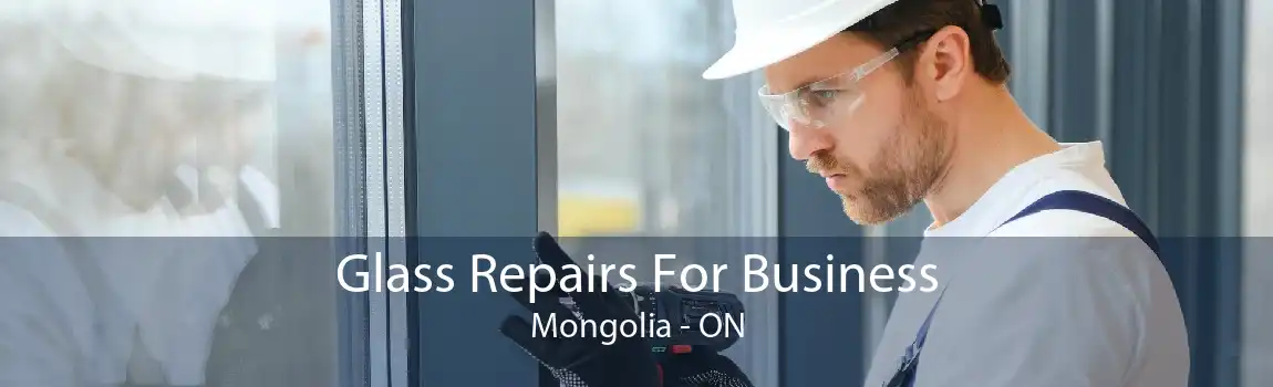 Glass Repairs For Business Mongolia - ON