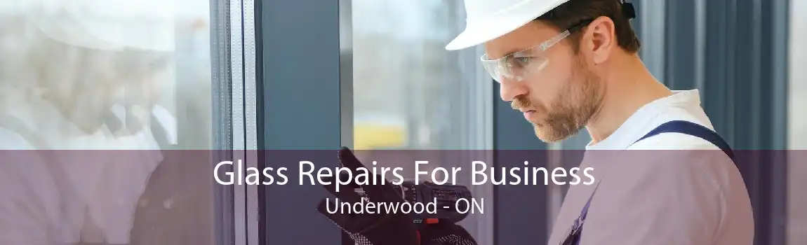 Glass Repairs For Business Underwood - ON