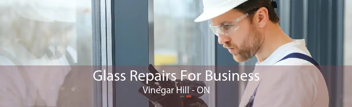 Glass Repairs For Business Vinegar Hill - ON