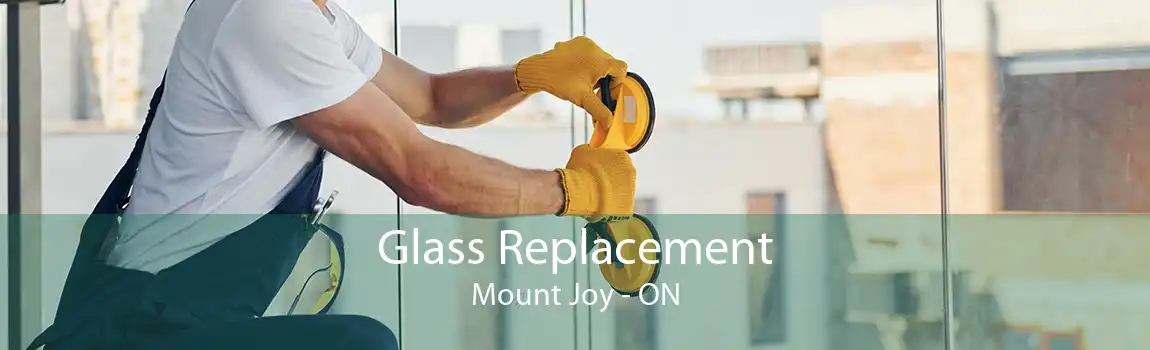 Glass Replacement Mount Joy - ON