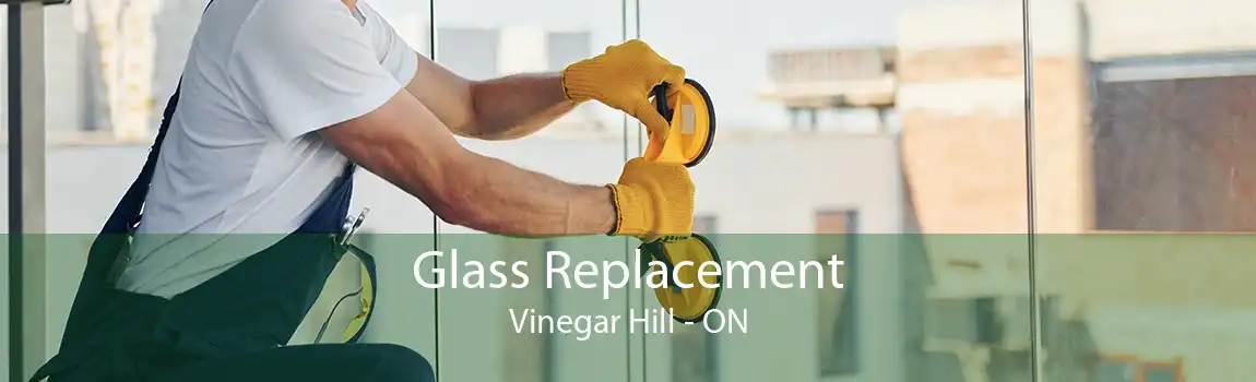 Glass Replacement Vinegar Hill - ON