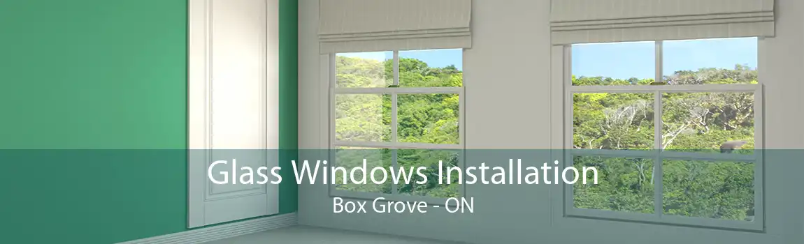 Glass Windows Installation Box Grove - ON