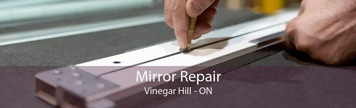 Mirror Repair Vinegar Hill - ON