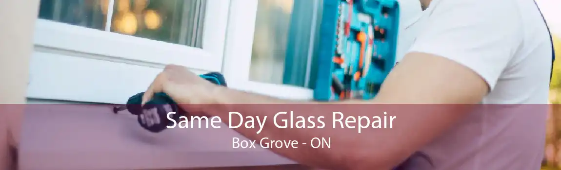 Same Day Glass Repair Box Grove - ON