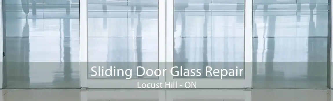 Sliding Door Glass Repair Locust Hill - ON