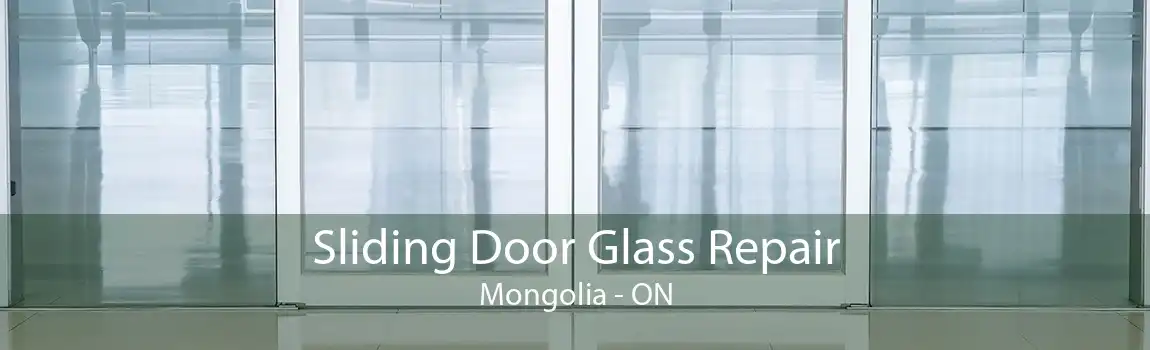 Sliding Door Glass Repair Mongolia - ON