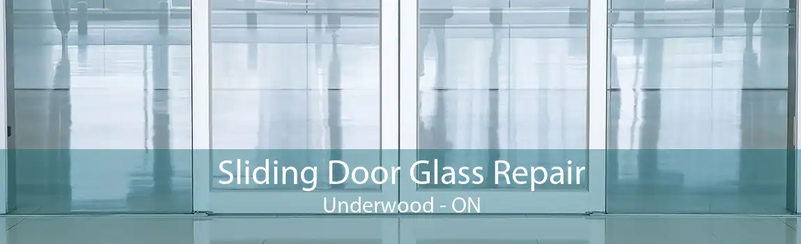 Sliding Door Glass Repair Underwood - ON