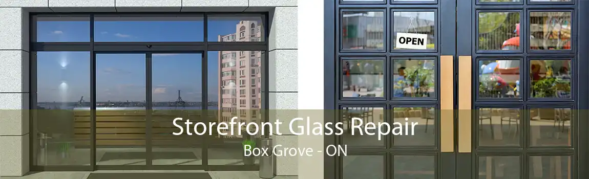 Storefront Glass Repair Box Grove - ON