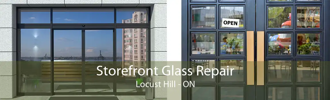 Storefront Glass Repair Locust Hill - ON