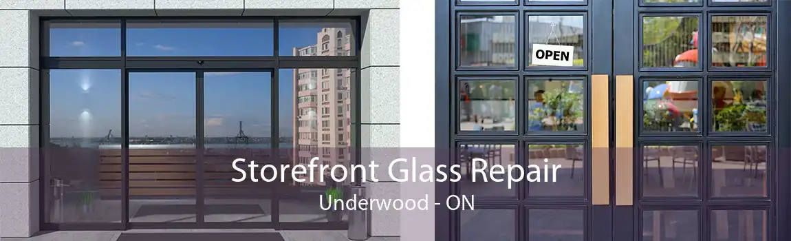 Storefront Glass Repair Underwood - ON