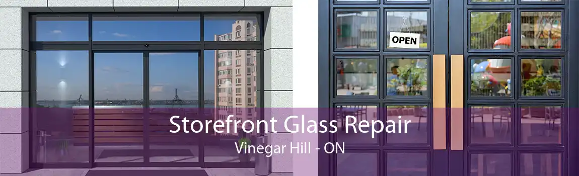 Storefront Glass Repair Vinegar Hill - ON