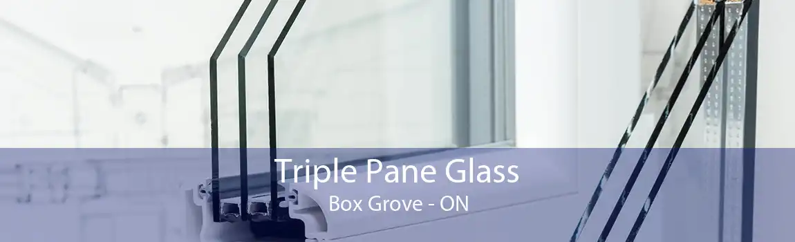 Triple Pane Glass Box Grove - ON