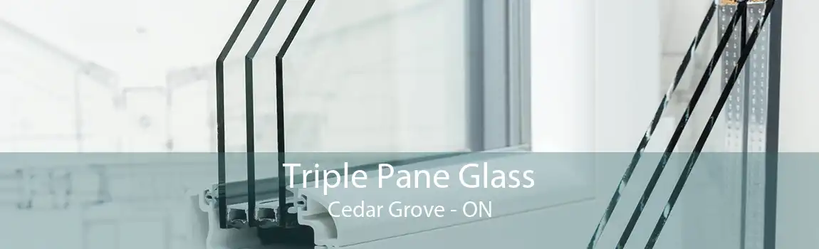 Triple Pane Glass Cedar Grove - ON