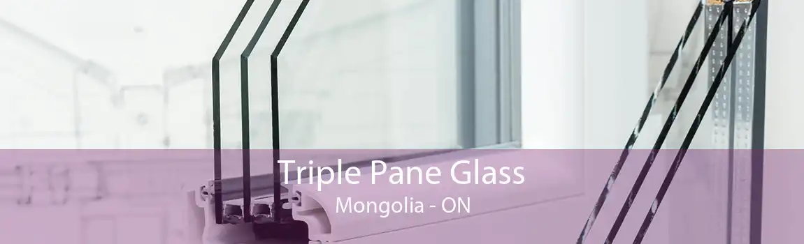 Triple Pane Glass Mongolia - ON