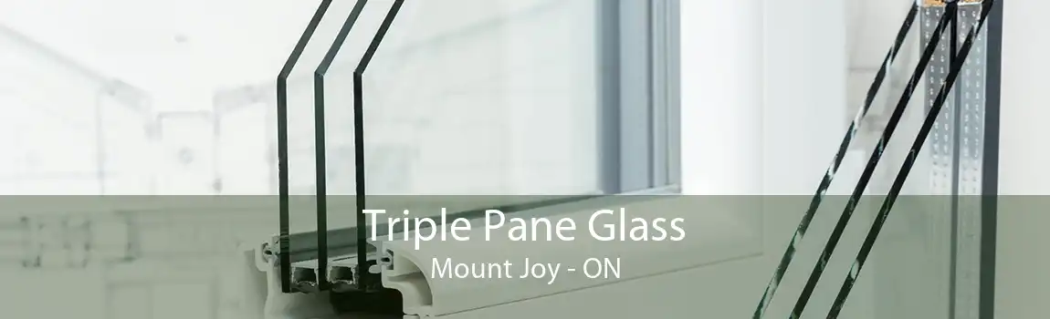 Triple Pane Glass Mount Joy - ON